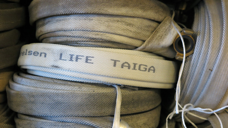 Ihoprullade vattenslangar märkta med Life Taiga.