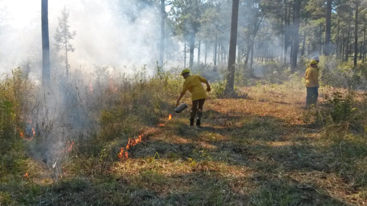 En man i gul skjorta droppar eld från en tändkanna.