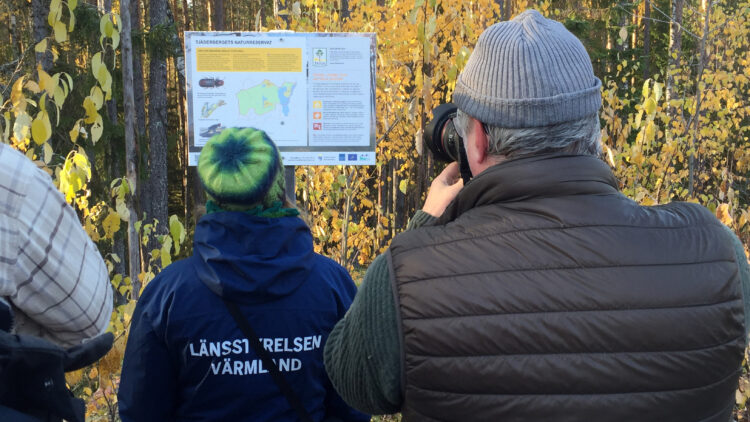 En grupp människor framför en informationstavla på en stolpe i skogen.