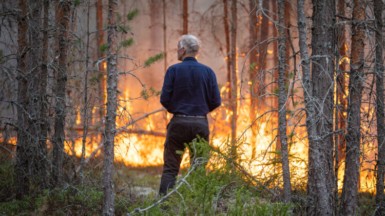 En vithårig man bakifrån, mannen spejar ut över eld som binner mellan träd.