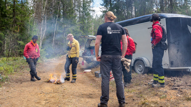 Fem personer tittar på en lite eld som brinner på en skogsväg.