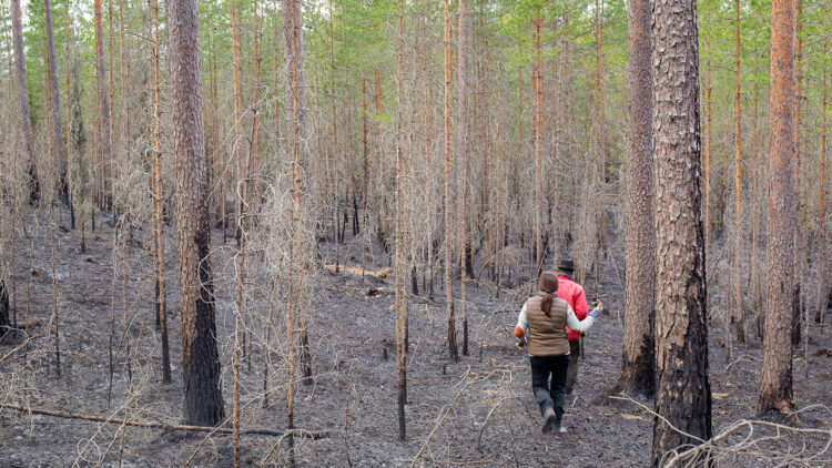 Två personer går eftervarandra genom skog som är askgrå och sotig.